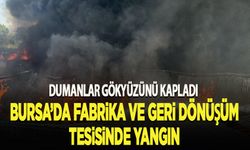 Bursa'da fabrika ve geri dönüşüm tesisinde yangın