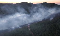 İzmir Bergama'da ormanlık alanda çıkan yangına müdahale sürüyor