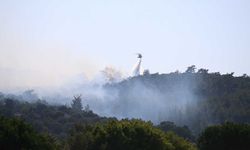 Bodrum'da orman yangını çıktı