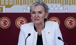 Türkiye'yi yurt dışına şikayet etmişti: Nimet Özdemir, İyi Parti'den istifa etti