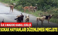 Sahipsiz hayvanlara yönelik kanun teklifi TBMM'de