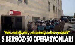 "Sibergöz-50" operasyonlarında 24 şüpheli yakalandı