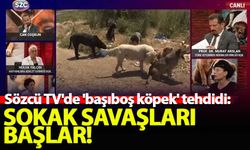 Sözcü TV'de 'başıboş köpek' tehdidi: Sokak savaşları başlar