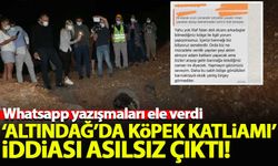 'Altındağ'da köpek katliamı' iddiaları asılsız çıktı