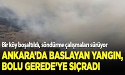 Ankara'da başladı, Bolu'ya sıçradı, yangın söndürme çalışmaları sürüyor