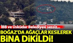 Boğaz'da ağaçlar kesilerek bina dikildi! İBB ve Üsküdar Belediyesi sessiz...