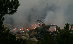 Bolu'daki orman yangınıyla ilgili 2 tutuklama