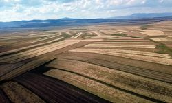 Kars'ta işlenmeyen tarım arazileri çiftçilere kiralanacak