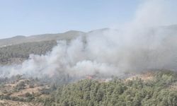 Muğla'nın Milas ilçesinde çıkan orman yangınına müdahale ediliyor