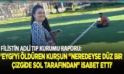 'Eygi'yi öldüren kurşun "neredeyse düz bir çizgide sol tarafından" isabet etti'