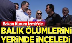 Bakan Kurum, balık ölümlerinin yaşandığı İzmir Körfezi'nde inceleme yaptı