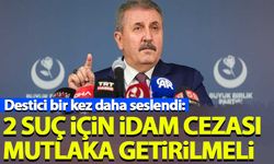 Destici: İki suç için idam cezası mutlaka ama mutlaka getirilmeli