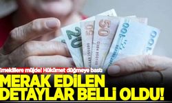 Emeklilere müjde! Merak edilen detaylar belli oldu!