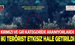 "Gürz-14" operasyonu: 2 terörist etkisiz