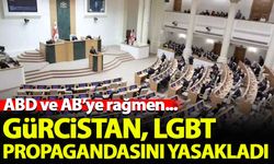 Gürcistan, LGBT propagandasını yasakladı