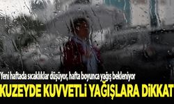 Sıcaklıklar düşüyor, kuzeyde şiddetli yağışlara dikkat!