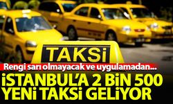 İstanbul'a 2 bin 500 yeni taksi geliyor! Rengi sarı olmayacak ve uygulamadan...