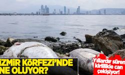 İzmir Körfezi'nde ne oluyor?