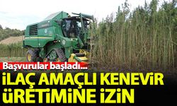 İlaç amaçlı kenevir üretimine izin! Başvurular başladı...