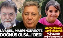 Livaneli 'Narin  Norveç'te doğmuş olsa' dedi, Ahmet Hakan tepki gösterdi! 'Cinayetin coğrafyası yoktur'