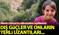 Narin Güran'ın ailesinden açıklama: Dış güçler ve onların yerli uzantıları...