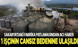 Fabrika patlamasında acı haber: 1 kişi öldü, 30 yaralı