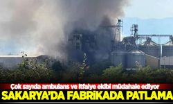 Sakarya'da fabrikada patlama: İlk belirlemelere göre 20 kişi yaralandı