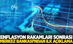 Merkez Bankası'ndan enflasyon açıklaması