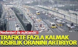 Aşırı derecede trafikte kalmak kısırlık oranını artırıyor