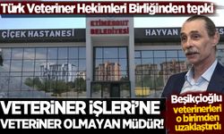 CHP’li Etimesgut Belediyesinde skandal: Veterinerler, Veteriner İşleri Müdürlüğünden sürüldü