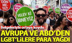 Avrupa ve ABD'den Türkiye'deki LGBT derneklerine para yağdı