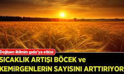 İklim değişikliği gıda güvenliğinde risklere neden oluyor