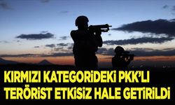 Kırmızı kategorideki PKK'lı terörist etkisiz hale getirildi