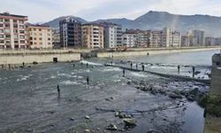 Balık kafesinin patlaması vatandaşa yaradı