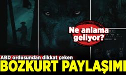 ABD ordusundan dikkat çeken Bozkurt paylaşımı