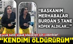 Esenyurt'ta başıboş sokak köpeklerinin toplanmasına tepki