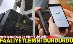 Merkez Bankası üç ödeme şirketinin faaliyetlerini durdurdu