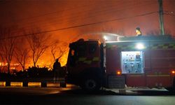 Güney Kore'deki orman yangınında ölü sayısı artıyor