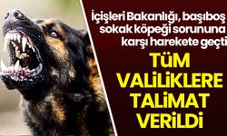İçişleri Bakanlığından tüm valiliklere 'başıboş sokak köpeği' talimatı!