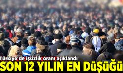 İşsizlik verileri açıklandı; Geçin yıla göre geriledi