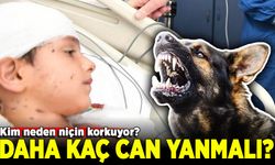 Tunahan Yılmaz davası görüldü; çocuğun yaralanmasına ilişkin davada mütalaa açıklandı