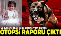Konya'da köpeklerin saldırdığı Rana'nın otopsi raporu çıktı