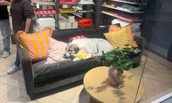 AVM'deki başıboş köpek 3 yaşındaki kız çocuğuna saldırdı
