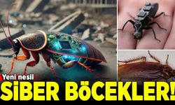 Bilim adamları hamamböceklerini siber böceklere dönüştürdü