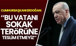 Erdoğan: Bu vatanı sokak terörüne teslim etmeyiz