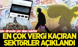 En çok vergi kaçıran sektörler açıklandı!