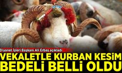 2025 Vekaletle kurban kesim bedeli belli oldu