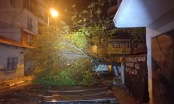Aydın'da fırtına çatıları uçurdu