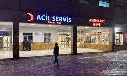 Sivas'ta 53 öğrenci hastanelik oldu