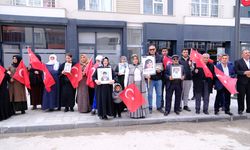 Vanlı aileler, DEM Parti İl Başkanlığı önündeki eylemlerini sürdürdü